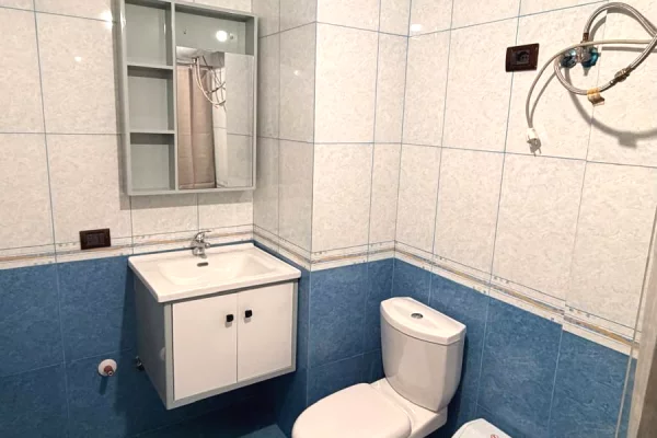 Shtepi me qera Apartament ne Tirane, 1+1, Mobilimi E mobiluar, Pagesa 300  Euro.