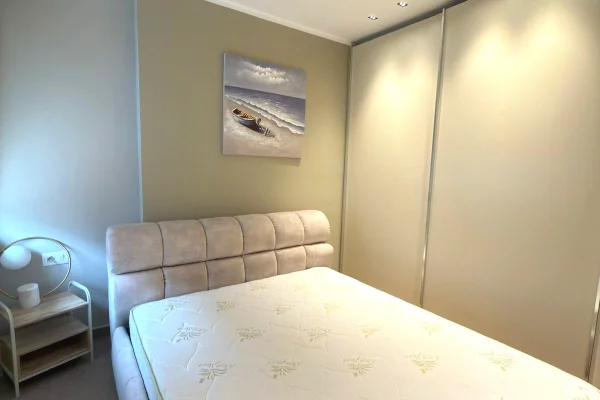 Shtepi me qera Apartament ne Tirane, 1+1, Mobilimi E mobiluar, Pagesa 600  Euro.