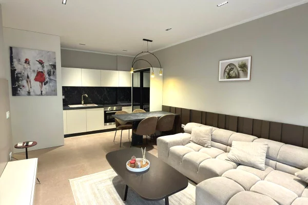 Shtepi me qera Apartament ne Tirane, 1+1, Mobilimi E mobiluar, Pagesa 600  Euro.
