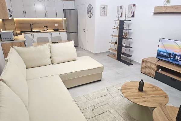 Shtepi me qera Apartament ne Tirane, 1+1, Mobilimi E mobiluar, Pagesa 530  Euro.