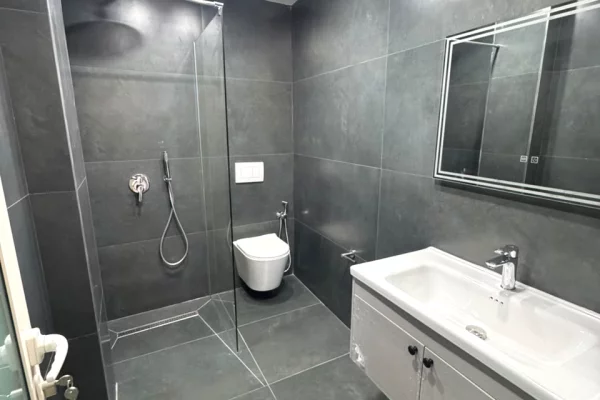 Shtepi me qera Apartament ne Tirane, 1+1, Mobilimi E mobiluar, Pagesa 65,000  Leke.
