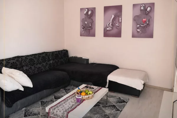 Shtepi me qera Apartament ne Tirane, 1+1, Mobilimi E mobiluar, Pagesa 55,000  Leke.