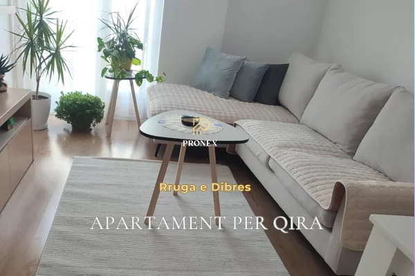 Shtepi me qera 2+1 ne Tirane - 65,000 Leke