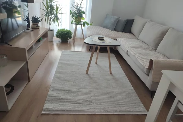 Shtepi me qera Apartament ne Tirane, 2+1, Mobilimi E mobiluar, Pagesa 65,000  Leke.