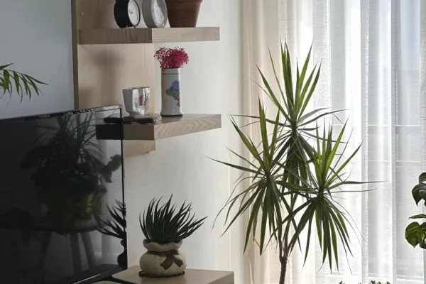 Shtepi me qera Apartament ne Tirane, 2+1, Mobilimi E mobiluar, Pagesa 65,000  Leke.