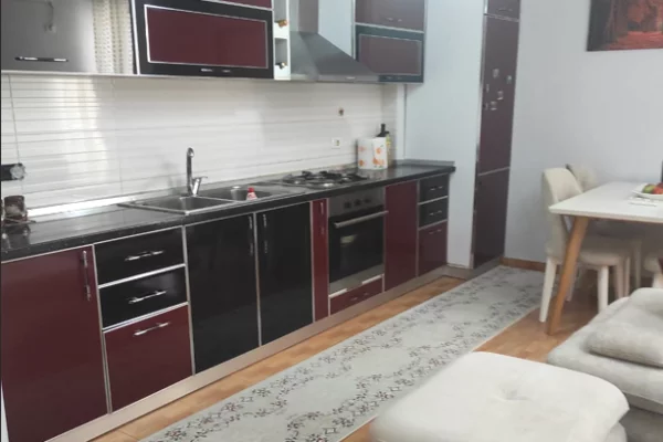 Shtepi me qera Apartament ne Tirane, 1+1, Mobilimi E mobiluar, Pagesa 45,000  Leke.