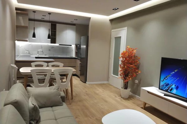Shtepi me qera Apartament ne Tirane, 1+1, Mobilimi E mobiluar, Pagesa 65,000  Leke.