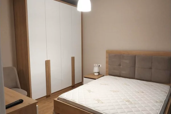 Shtepi me qera Apartament ne Tirane, 1+1, Mobilimi E mobiluar, Pagesa 65,000  Leke.