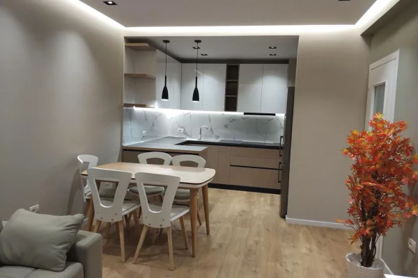 Shtepi me qera Apartament ne Tirane, 1+1, Mobilimi E mobiluar, Pagesa 65,000  Leke.