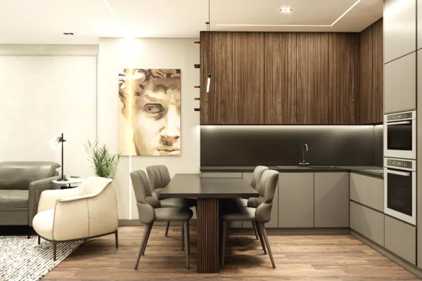 Shtepi me qera Apartament ne Tirane, 2+1, Mobilimi E mobiluar, Pagesa 250,000  Leke.