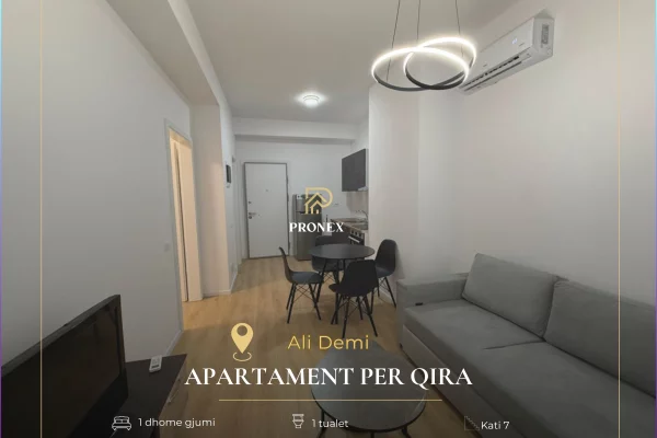 Apartament me qera 1+1 tek Ali Demi