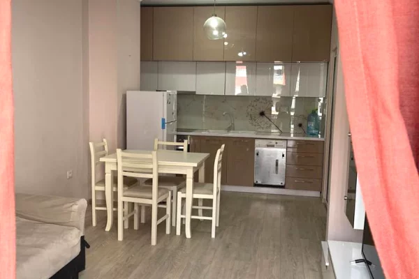 Shtepi me qera Apartament ne Tirane, 1+1, Mobilimi E mobiluar, Pagesa 50,000  Leke.