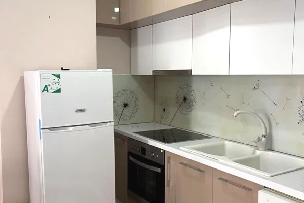 Shtepi me qera Apartament ne Tirane, 1+1, Mobilimi E mobiluar, Pagesa 50,000  Leke.
