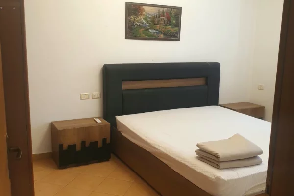 House for Rent Apartment in Tirana, 1+1, Furniture Furnished, Payment 450  Euro.