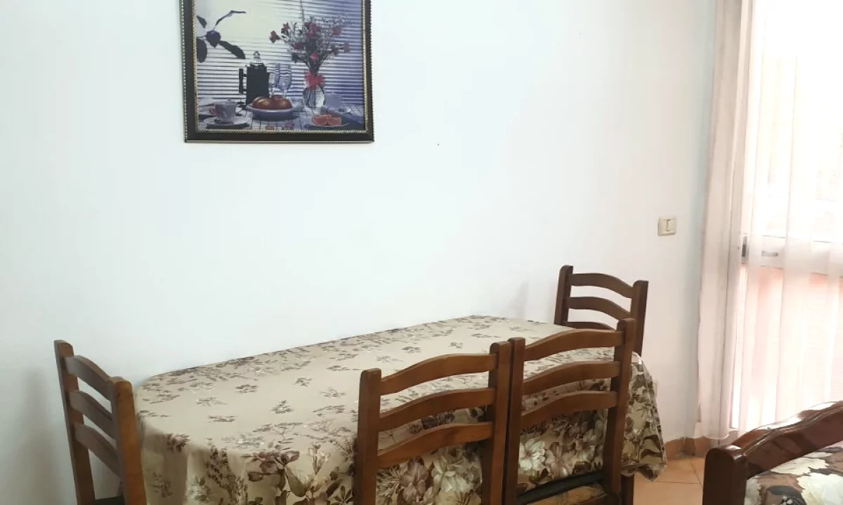 House for Rent Apartment in Tirana, 1+1, Furniture Furnished, Payment 450  Euro.