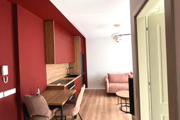 House for Rent Apartment in Tirana, 1+1, Furniture Furnished, Payment 60,000  Leke.