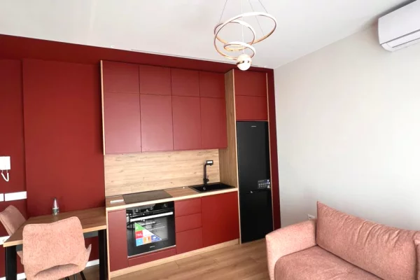 House for Rent Apartment in Tirana, 1+1, Furniture Furnished, Payment 60,000  Leke.