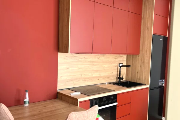 House for Rent Apartment in Tirana, 1+1, Furniture Furnished, Payment 60,000  Leke.