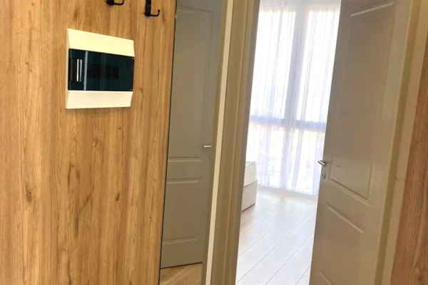 House for Rent Apartment in Tirana, 1+1, Furniture Furnished, Payment 70,000  Leke.