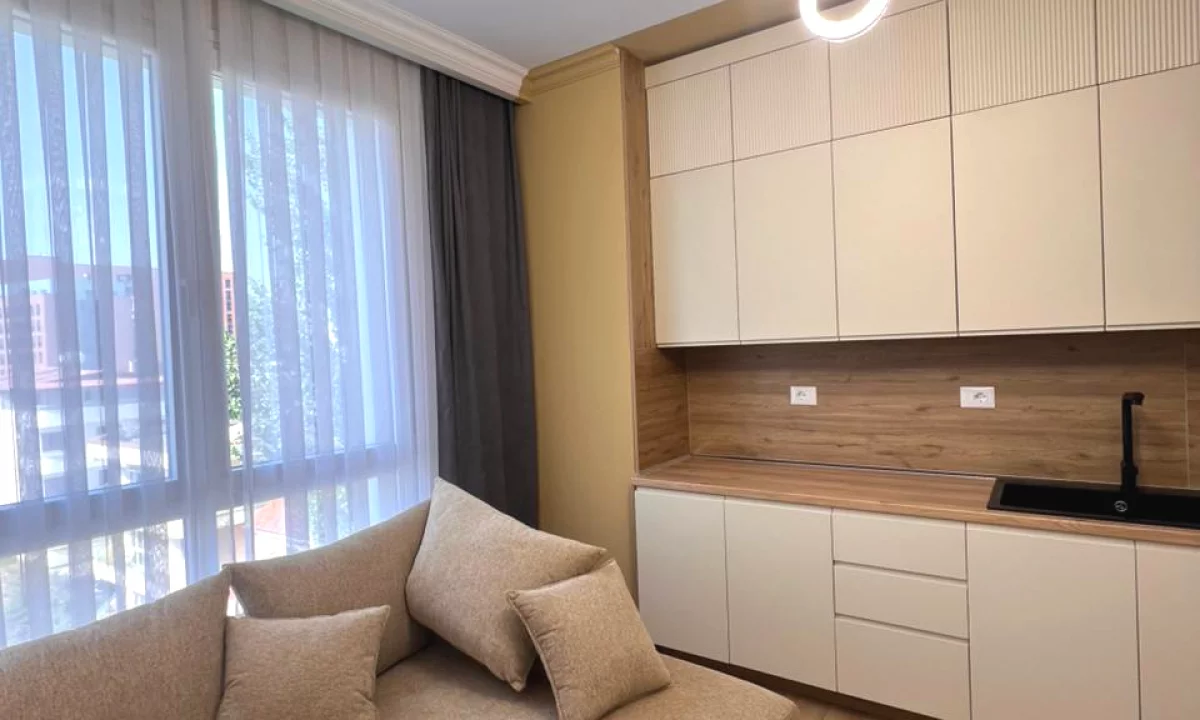 House for Rent Apartment in Tirana, 1+1, Furniture Furnished, Payment 60,000  Leke.