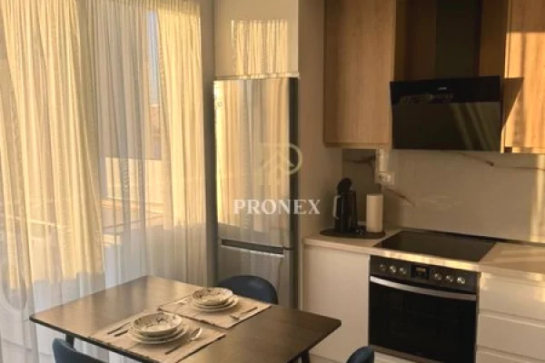 Shtepi me qera Apartament ne Tirane, 1+1, Mobilimi E mobiluar, Pagesa 60,000  Leke.