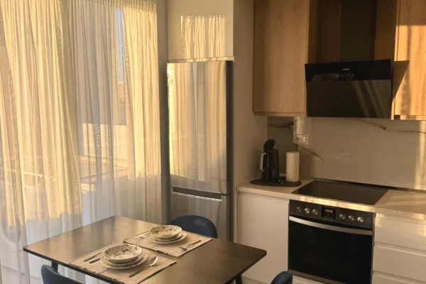 Shtepi me qera Apartament ne Tirane, 1+1, Mobilimi E mobiluar, Pagesa 60,000  Leke.