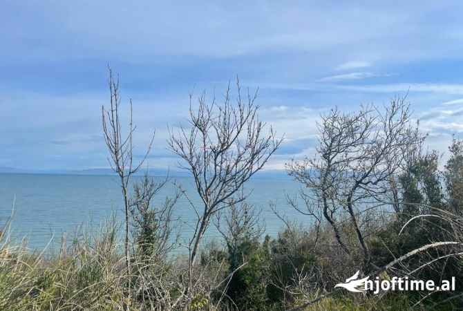 Shitet Toke Ne Kep Te Rodonit!