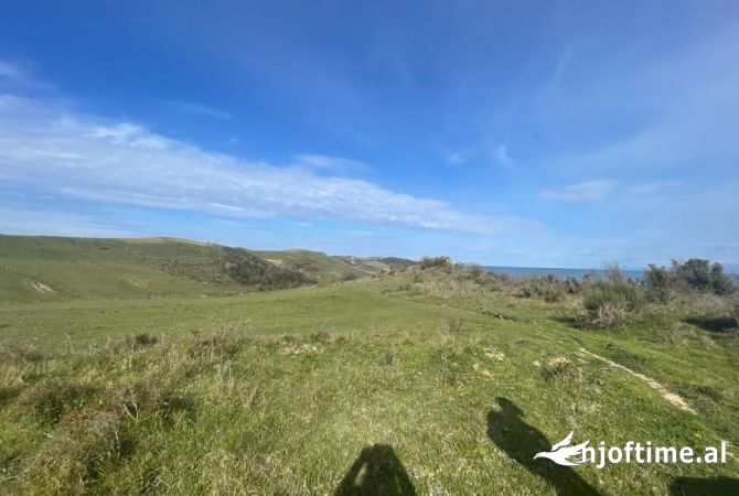 Shitet Toke Ne Kep Te Rodonit!