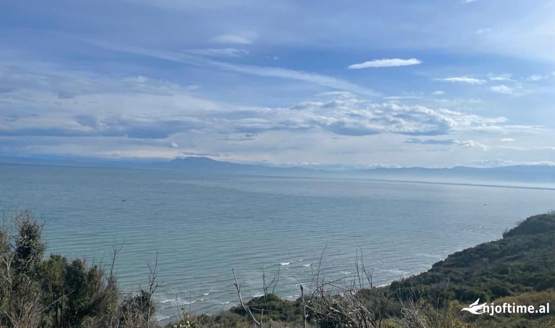 Shitet Toke Ne Kep Te Rodonit!