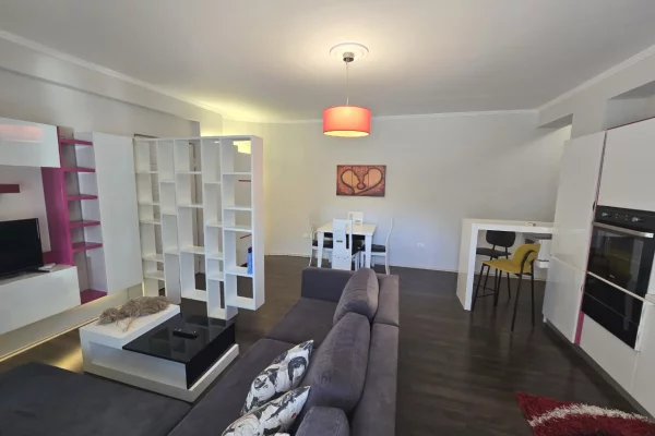 Shtepi ne shitje Apartament ne Tirane, 1+1, Mobilimi E mobiluar, Pagesa 155,000  Euro.
