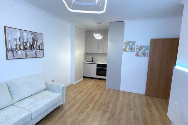 Shtepi ne shitje Apartament ne Tirane, 1+1, Mobilimi E mobiluar, Pagesa 108,997  Euro.