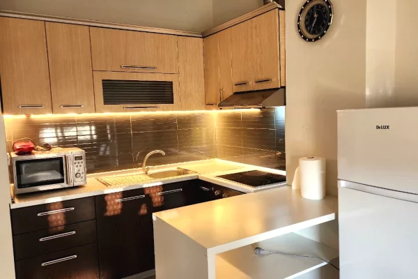 Shtepi me qera Apartament ne Tirane, 1+1, Mobilimi E mobiluar, Pagesa 447  Euro.