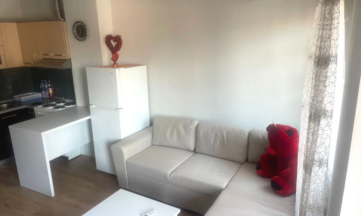 Shtepi me qera Apartament ne Tirane, 1+1, Mobilimi E mobiluar, Pagesa 447  Euro.