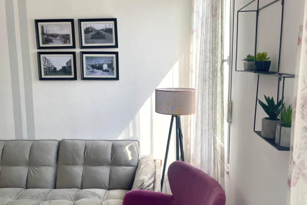 Shtepi me qera Apartament ne Tirane, 1+1, Mobilimi E mobiluar, Pagesa 647  Euro.