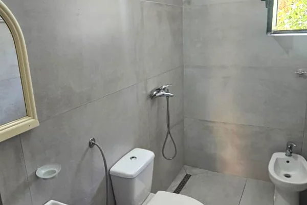 Shtepi me qera Apartament ne Tirane, 1+1, Mobilimi E mobiluar, Pagesa 447  Euro.