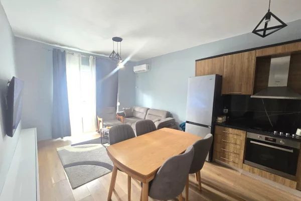 Shtepi ne shitje Apartament ne Tirane, 1+1, Mobilimi E mobiluar, Pagesa 99,997  Euro.