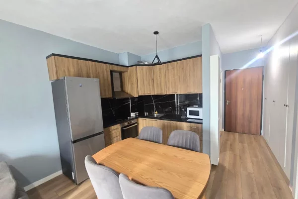 Shtepi ne shitje Apartament ne Tirane, 1+1, Mobilimi E mobiluar, Pagesa 99,997  Euro.