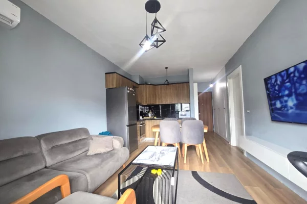 Shtepi ne shitje Apartament ne Tirane, 1+1, Mobilimi E mobiluar, Pagesa 99,997  Euro.