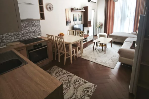 Shtepi ne shitje Apartament ne Tirane, 1+1, Mobilimi E mobiluar, Pagesa 104,997  Euro.