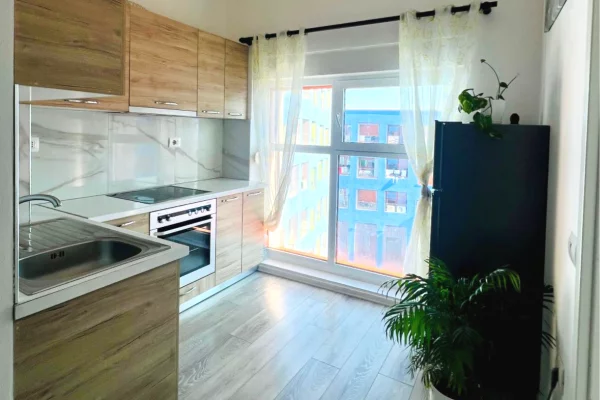 Shtepi ne shitje Apartament ne Tirane, 2+1, Mobilimi E mobiluar, Pagesa 128,740  Euro.