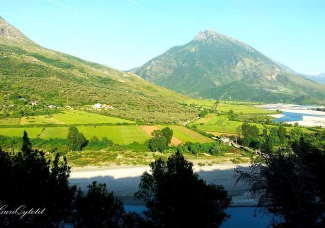 ⚡Shitet toke kullote 30ha, ne Tepelene