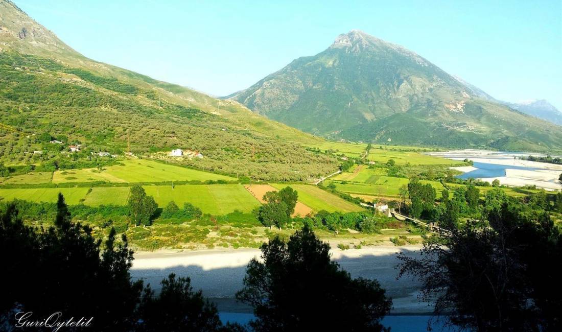 ⚡Shitet toke kullote 30ha, ne Tepelene