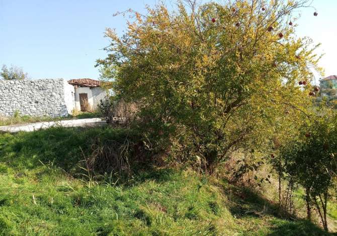 Truall ose Toke ne Tirane - 200,000 Euro