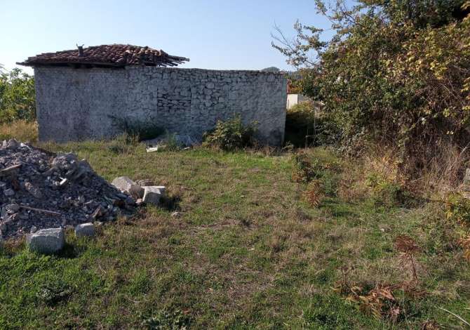 ⚡Toke+Truall ne Shitje 5000m2, ne Prush te Tiranes.