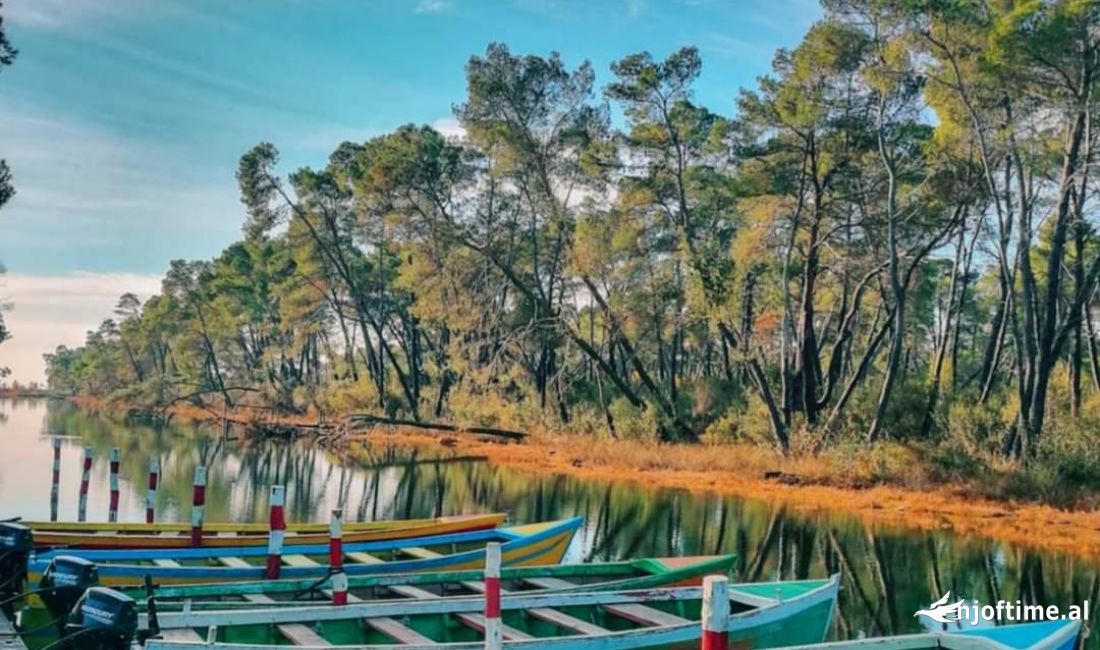 📢Shitet Hotel 4-Kateshe ne Divjake Sip: 1200 m2🔑