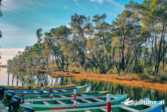 Ambiente Commerciale in Vendita 5+1 a Lushnja - 850,000 Euro