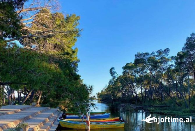 Ambiente Commerciale in Vendita 5+1 a Lushnja - 850,000 Euro