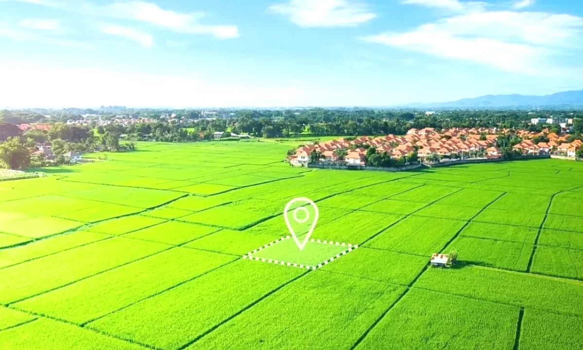 🌿 Shitet Toke ne Maminas, Vore!