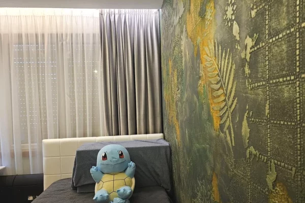 Shtepi ne shitje Apartament ne Tirane, 3+1, Mobilimi E mobiluar, Pagesa 390,000  Euro.