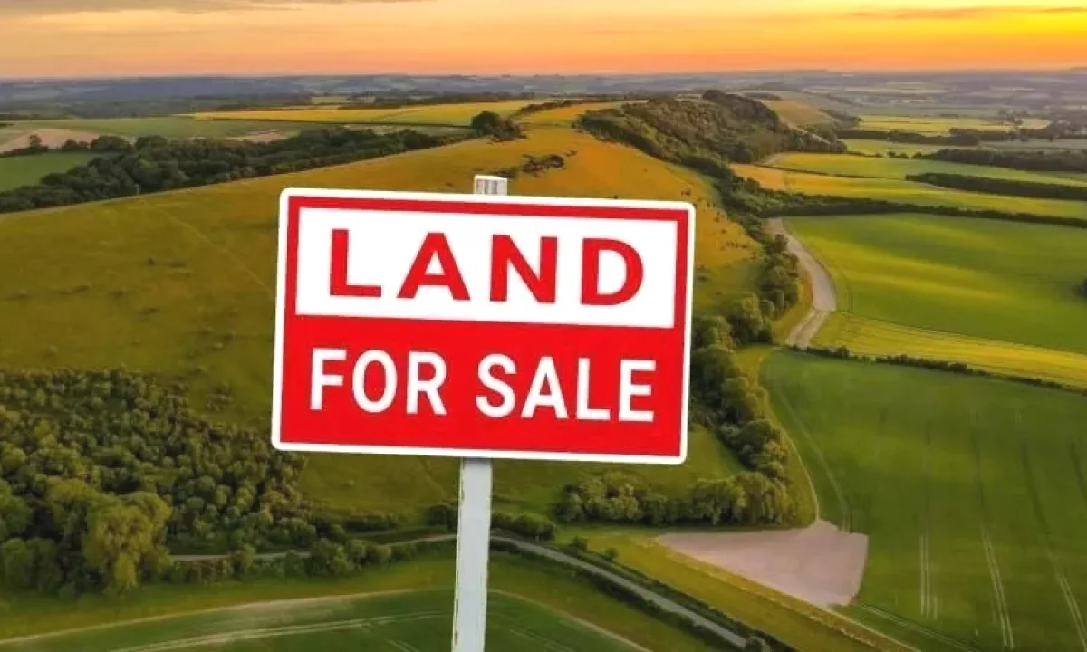 🌿Shitet Toke ne Vishaj nje Mundesi e Arte Investimi!